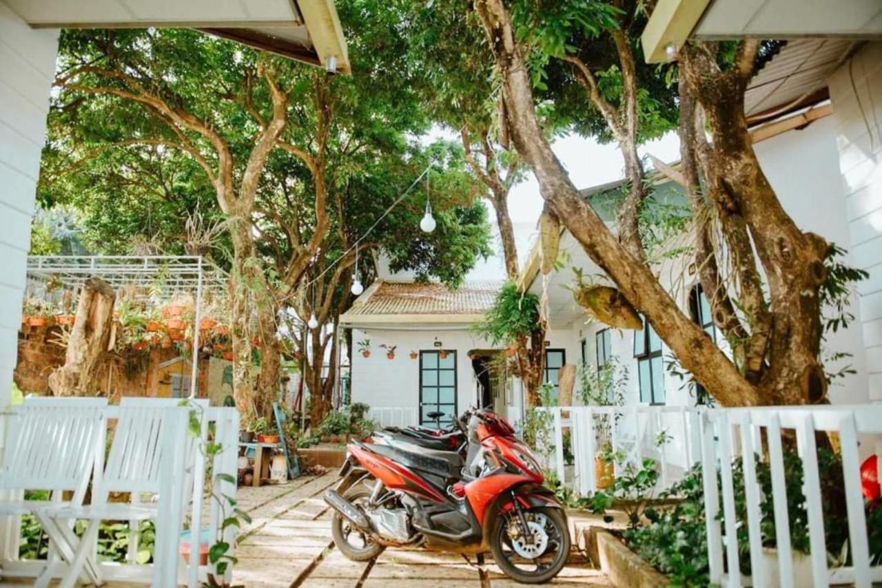 Homestay Vuon Nhan بلايكو المظهر الخارجي الصورة